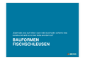 Vorschaubild der Version vom 07:53, 25. Sep. 2019