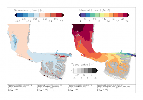 Descriptions of the shown data sets